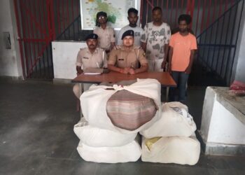 गोपालगंज :- 75 किलो 800 ग्राम गांजा के साथ 3 तस्कर गिरफ्तार।