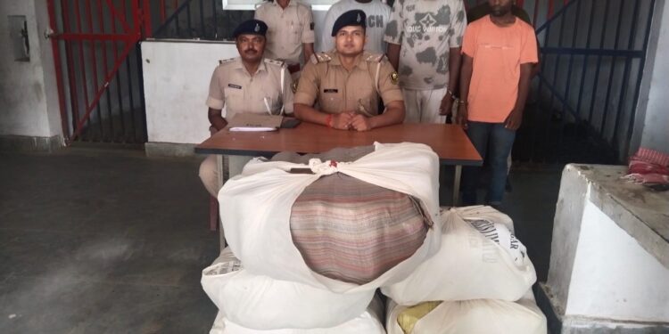 गोपालगंज :- 75 किलो 800 ग्राम गांजा के साथ 3 तस्कर गिरफ्तार।