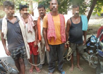 मकेर थानान्तर्गत वाहन चेकिंग के क्रम में 01 पिक-अप पर लदा कुल 13 मवेशी को बरामद कर 04 मवेशी तस्कर को किया गया गिरफ्तार