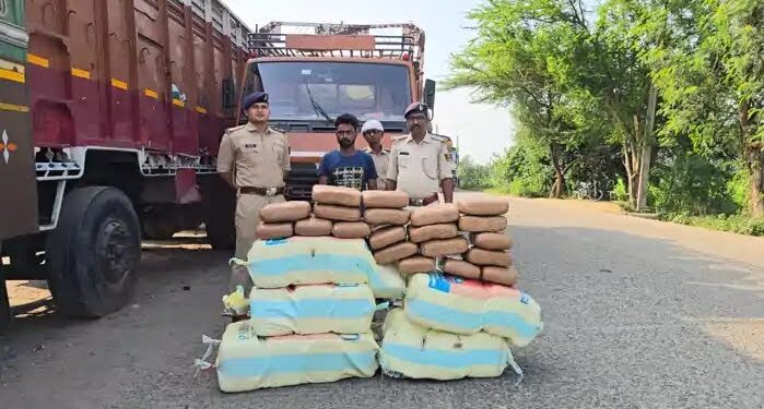गोपालगंज में पुलिस ने पकड़ा 70 लाख का गांजा, ट्रक से 235 किलो बरामद, तस्कर भी गिरफ्तार