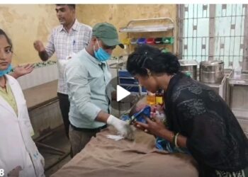 गोपालगंज :- बंदरों का आतंक! 3 महीने के मासूम पर बंदरों ने किया जानलेवा हमला।