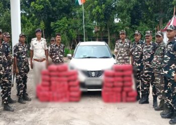 तस्करी कर लाई जा रही 255 किलो गांजा बरामद, तस्कर फरार