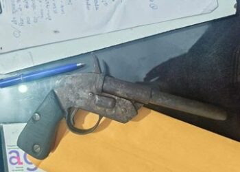 देसी लोडेड कट्टा व कारतूस के साथ शातिर अपराधी गिरफ्तार