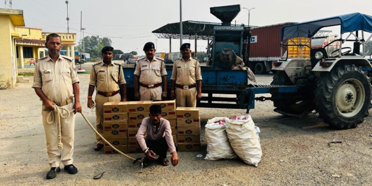 गोपालगंज :- आगामी विधानसभा चुनाव को लेकर पुलिस प्रशासन अलर्ट! 331 लीटर देशी शराब जब्त