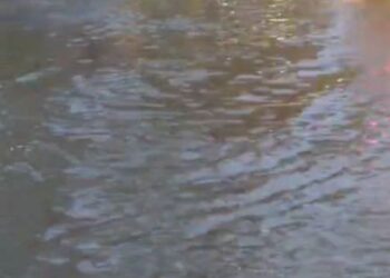 विजयीपुर थाना परिसर फिर हुआ जलमग्न, सिस्टम की बारिश ने खोल दी निकासी व्यवस्था की पोल