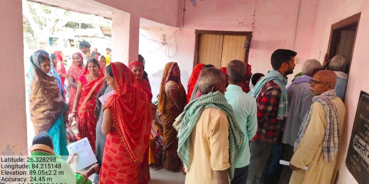 नौतन में सरसों, मटर व मसूर का बीज वितरण का कार्य जोरों पर, किसानों को मिल रहा है लाभ