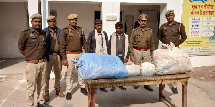 बांदा पुलिस ने गांजा कि खेती करने वाले दो लोगो को किया गिरफ्तार