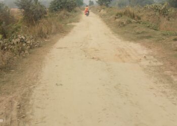 भलूआ से तेतहली जाने वाली नहर मार्ग बदहाल, सड़क में खड्डा का है अम्बर