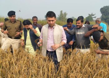 किसान श्री हरिशचंद्र झा के खेत पहुँचे श्री रिची पाण्डेय जिला पदाधिकारी