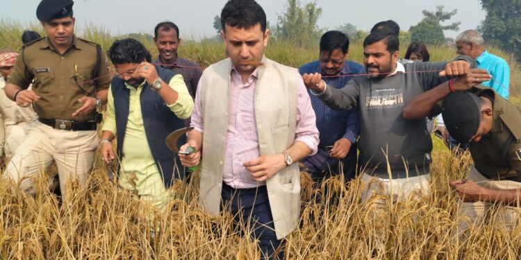 किसान श्री हरिशचंद्र झा के खेत पहुँचे श्री रिची पाण्डेय जिला पदाधिकारी