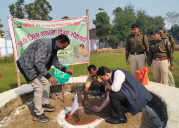 सर्किट हाउस सीतामढ़ी में वृक्षारोपण कार्यक्रम का हुआ आयोजन।