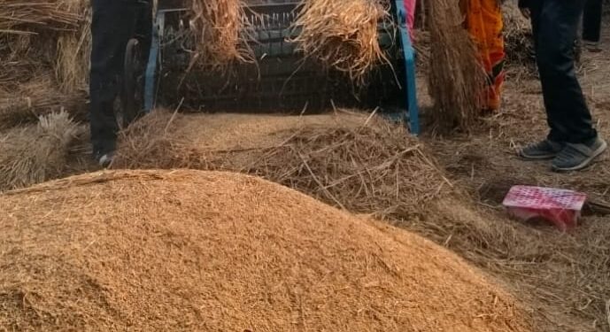 महिला किसानो को ऑन लाइन धान बेचने के तरीके बताए गए