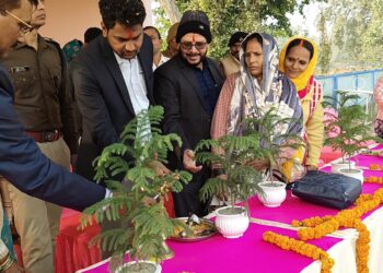 नई चेतना अभियान के तहत जीविका दीदियों की एकदिवसीय क्रिकेट प्रतियोगिता का शुभारंभ