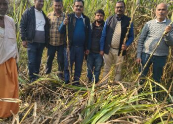 किसान श्री उपेंद्र सिंह के खेत पहुँचे उप निदेशक (सांख्यिकी) तिरहुत प्रमंडल मुजफ्फरपुर