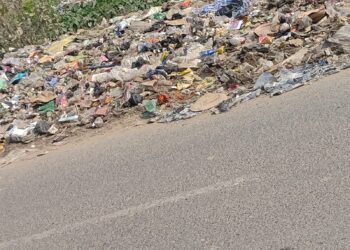 विजयीपुर पगरा मुख्य सड़क पर गंदगी का अंबार,स्वच्छ भारत मिशन की खुली पोल