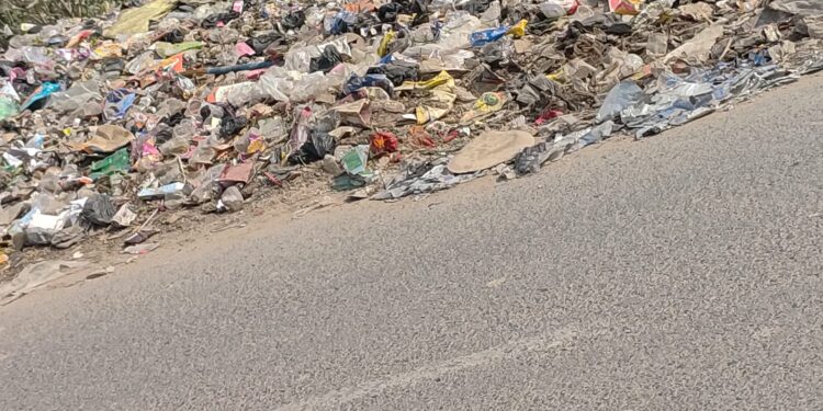 विजयीपुर पगरा मुख्य सड़क पर गंदगी का अंबार,स्वच्छ भारत मिशन की खुली पोल