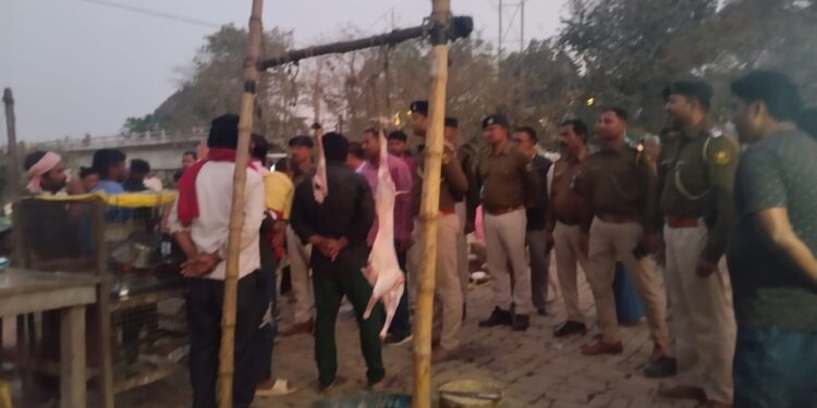 होली को लेकर विजयीपुर प्रशासन अलर्ट: बाजार में निकला फ्लैग मार्च, खुले में मांस बिक्री पर सख्त चेतावनी