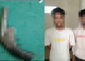 स्टेज पर हथियार लहराना पड़ा भारी: गोपालपुर पुलिस ने अवैध कट्टा व जिंदा कारतूस के साथ दो युवकों को दबोचा