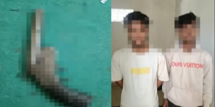 स्टेज पर हथियार लहराना पड़ा भारी: गोपालपुर पुलिस ने अवैध कट्टा व जिंदा कारतूस के साथ दो युवकों को दबोचा