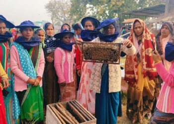 बांदा की मधु-सखियाँ शहद की मिठास से संवार रहीं अपनी तकदीर, 1200 रुपए किलो तक बिक रहा शहद