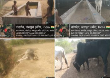 जसपुरा ब्लॉक के अंतर्गत अधिकतर गौशाला में गोवंश संरक्षित नहीं मिलेगा