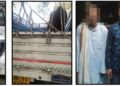 गुप्त सूचना पर पुलिस की बड़ी कार्रवाई: 3 पशु तस्कर गिरफ्तार, पिकअप वाहन सहित मवेशी बरामद