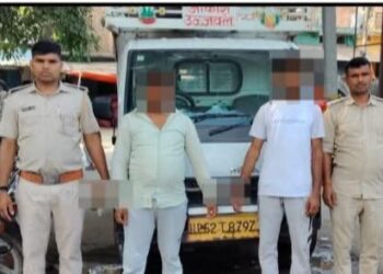 चोरी की पिकअप से 3 मवेशी बरामद, 2 पशु तस्कर गिरफ्तार