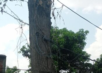 अवैध तरीके से 440 वोल्ट बिजली सप्लाई, हादसे का खतरा बढ़ा