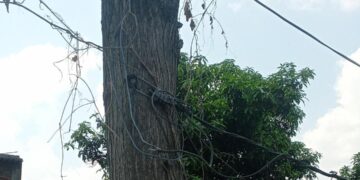 अवैध तरीके से 440 वोल्ट बिजली सप्लाई, हादसे का खतरा बढ़ा