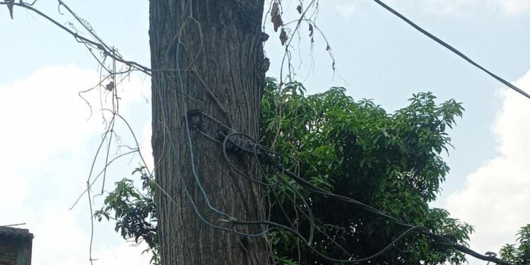 अवैध तरीके से 440 वोल्ट बिजली सप्लाई, हादसे का खतरा बढ़ा