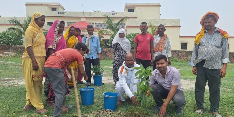 मुरारपट्टी में विश्व पर्यावरण दिवस पर विशेष ग्राम-सभा आयोजित