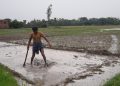 नौतन में मॉनसून की पहली झमाझम बारिश, गर्मी से मिली राहत; किसान धान का बिचड़ा डालने में जुटे
