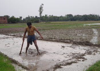 नौतन में मॉनसून की पहली झमाझम बारिश, गर्मी से मिली राहत; किसान धान का बिचड़ा डालने में जुटे