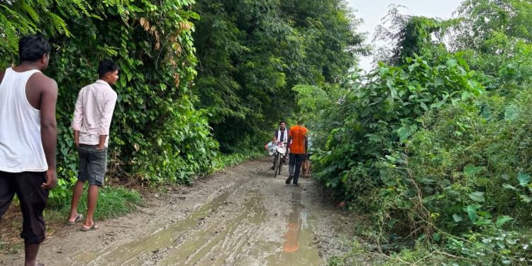 सरकार बदली, लेकिन नहीं बदली इमलिया की सड़क,विधानसभा चुनाव से पहले जारी हुई योजना, चुनाव बाद गायब हुआ पत्रांक